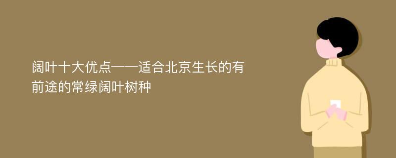 阔叶十大优点——适合北京生长的有前途的常绿阔叶树种