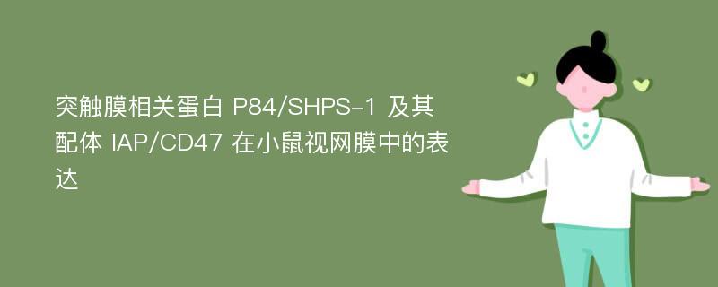 突触膜相关蛋白 P84/SHPS-1 及其配体 IAP/CD47 在小鼠视网膜中的表达