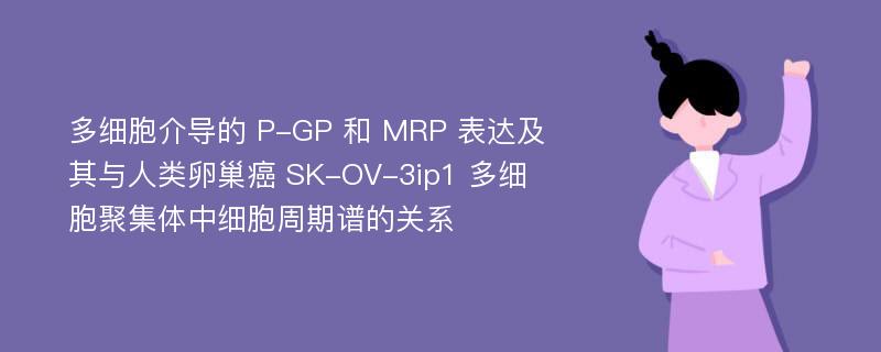 多细胞介导的 P-GP 和 MRP 表达及其与人类卵巢癌 SK-OV-3ip1 多细胞聚集体中细胞周期谱的关系