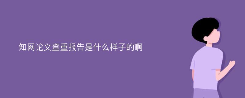 知网论文查重报告是什么样子的啊