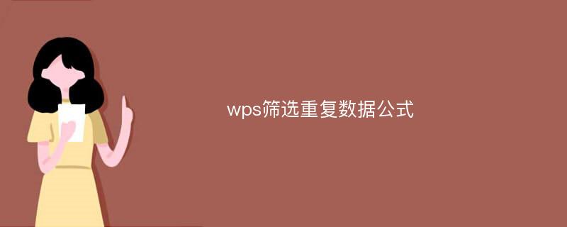 wps筛选重复数据公式