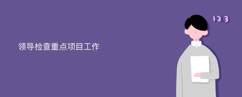 领导检查重点项目工作