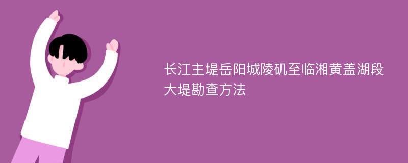 长江主堤岳阳城陵矶至临湘黄盖湖段大堤勘查方法