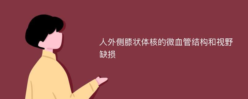 人外侧膝状体核的微血管结构和视野缺损