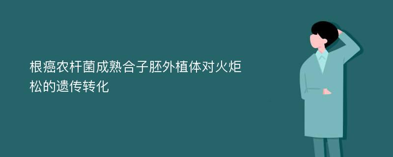 根癌农杆菌成熟合子胚外植体对火炬松的遗传转化